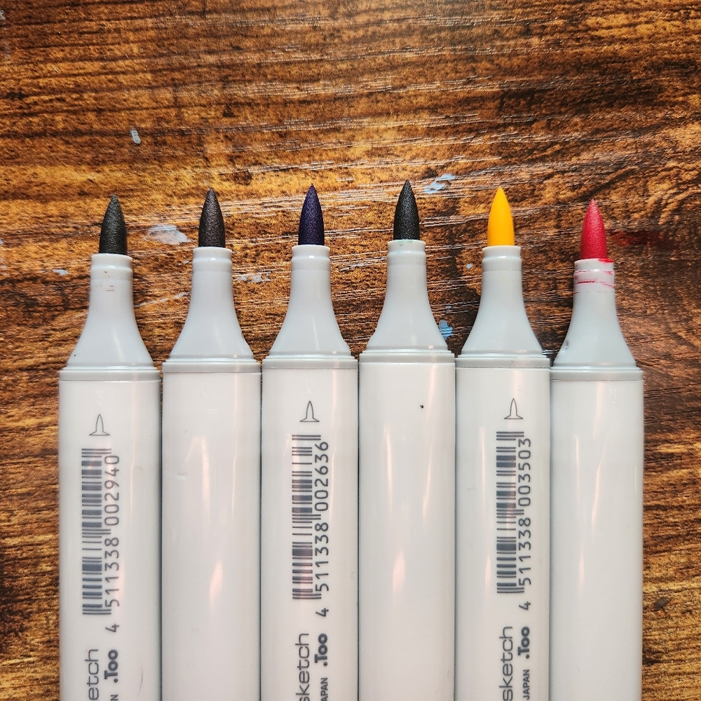 Multicolor 6 piece Copic Markers